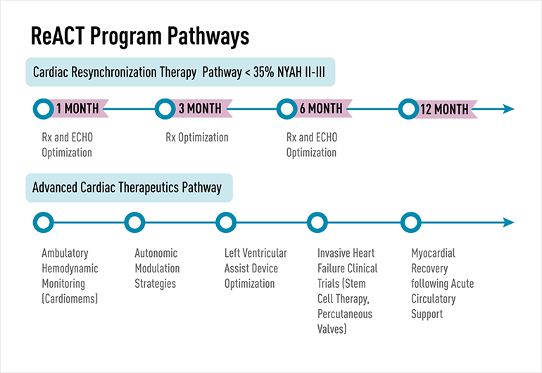  React Program Pathways