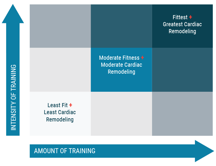 schema of cardiac remodeling