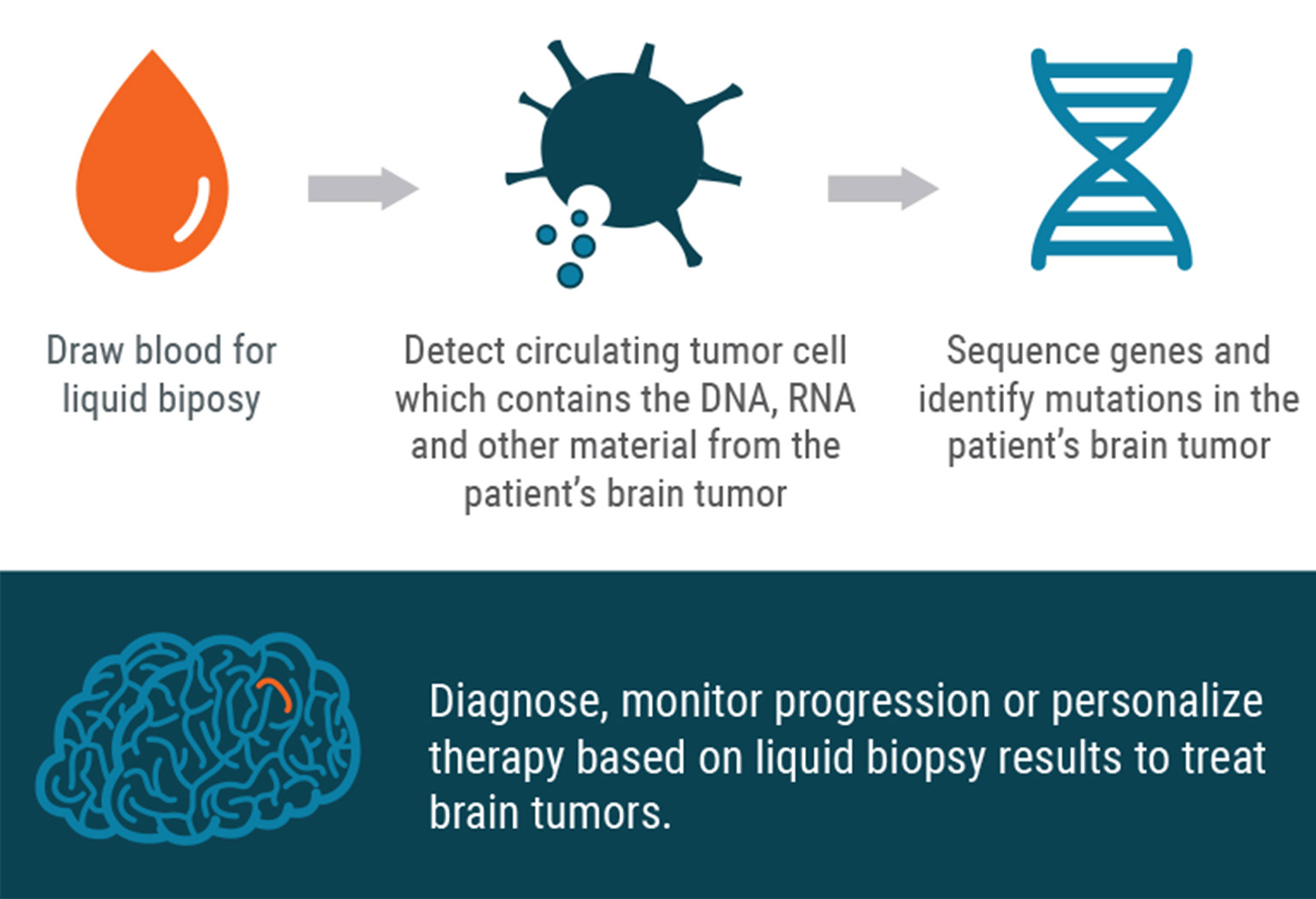 How Liquid Biopsy Could Improve Brain Tumor Treatment and Diagnoses ...