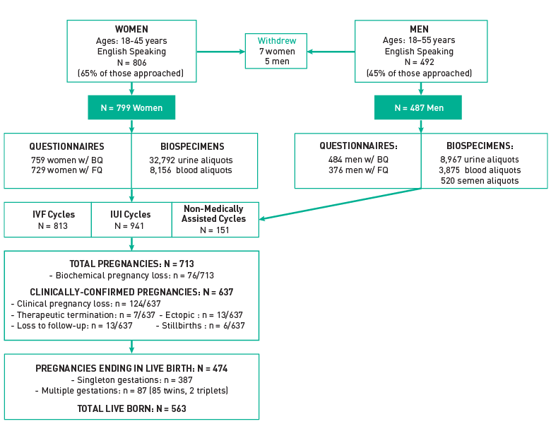 Earth Study Participant Flow Chart