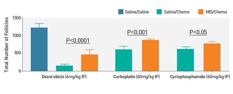 Primordial Follicle Counts After Chemotherapy