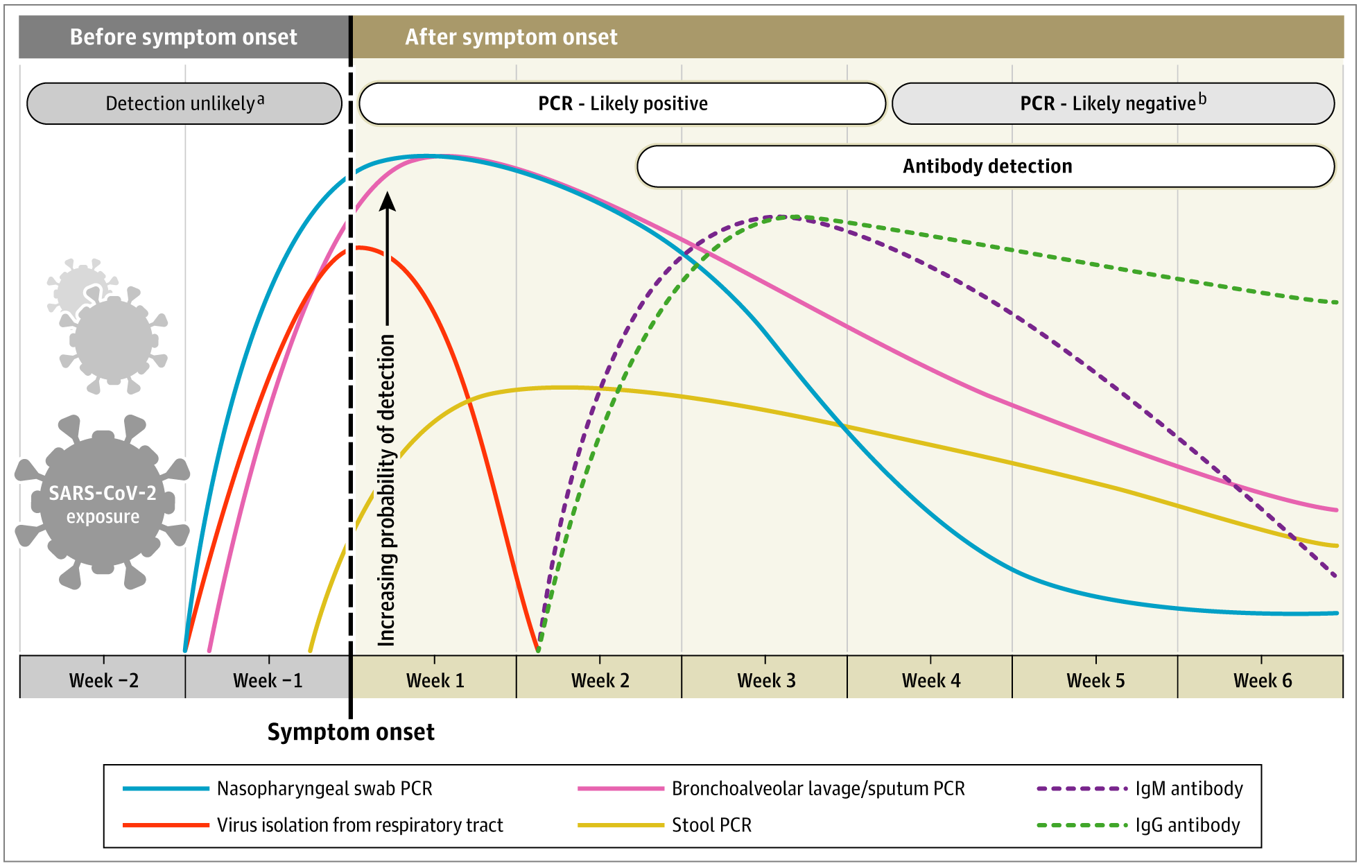 Using Antibody Tests for COVID-19 - Mass General Advances in Motion